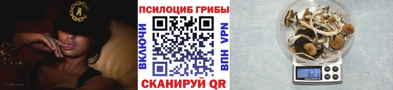 Псилоцибиновые грибы ЛСД  купить  цена  Корсаков 